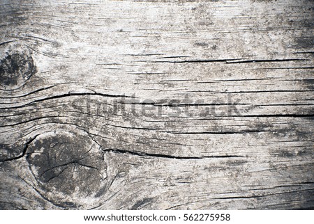 top view of a rustic piece of timber with knots and grains