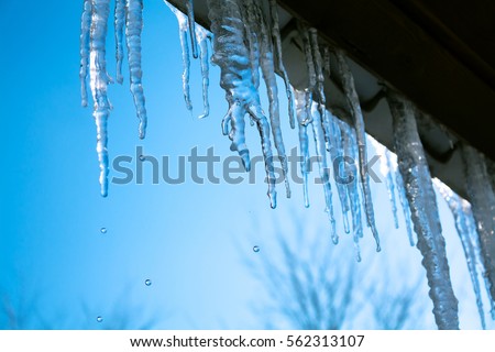 beautiful icicles shine in sun against blue sky. spring landscape with ice icicles hanging from roof of house. Royalty-Free Stock Photo #562313107