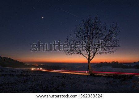 Lonely tree at a road with dusk in the background and cars driving passing by
