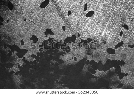 Black and white image of silhouette leaf on canvas umbrella