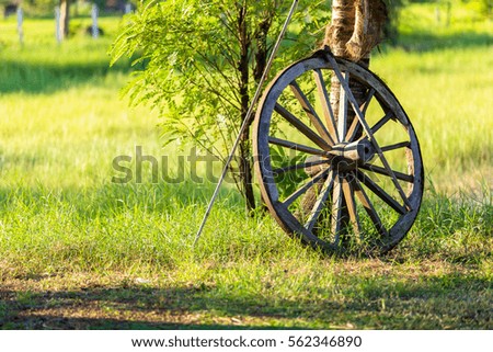 The old wheel on ground with grass background.