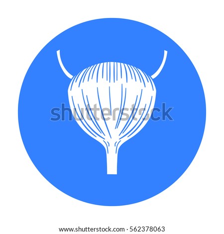 Human urinary bladder icon in black style isolated on white background. Human organs symbol stock vector illustration.