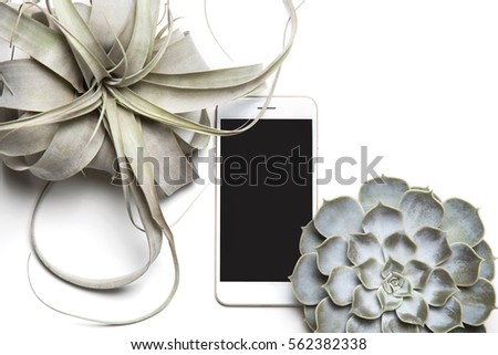 Stylized photo. Minimal flatlay composition with smartphone mockup and succulent house plants on white background. Feminine workspace desktop. 