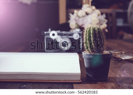 Cactus on the table with a notebook and camera.