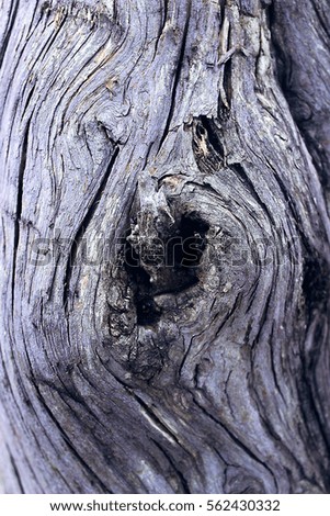 wood background with hole in center