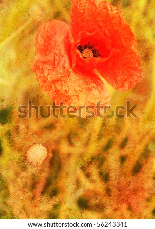 poppy - vintage styled floral picture, with patina texture