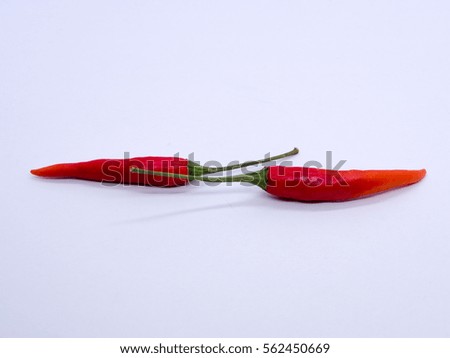 Two red hot chili on white isolated background. Placed in the opposite.