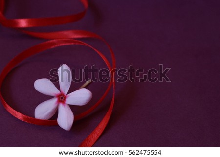 celebration greeting background in purple and pink red