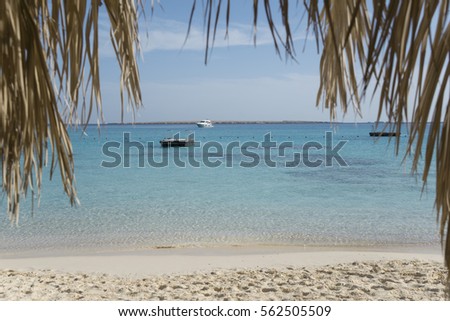 Sand beach photo in palm leaves frame. Ships in background.
