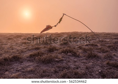 wind pointer, red sun and frost