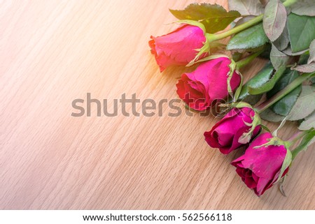 Red rose on wooden background with copy space, Love concept for Valentines Day