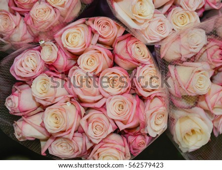 bunch of multiple roses background