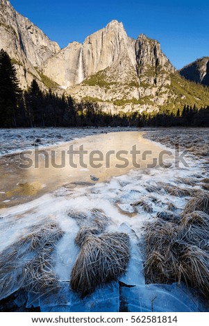 Yosemite Fall during winter at Cook's meadow. Reflection of sun light on frozen swamp with ice and snow.