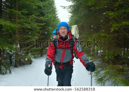 Happy man with backpack goes on a trail in a green corridor from the firs at the winter day. Perspective and wide angle shooting.
