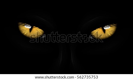 yellow eyes black Panther on dark background Royalty-Free Stock Photo #562735753