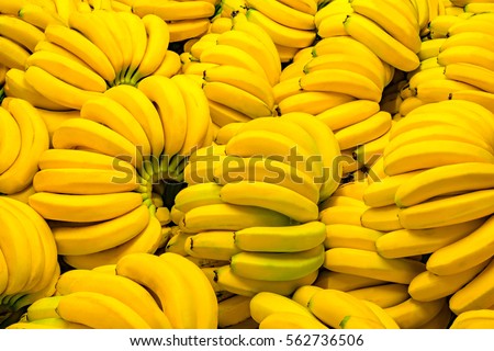 Fresh banana yellow background in the fruit market. Royalty-Free Stock Photo #562736506