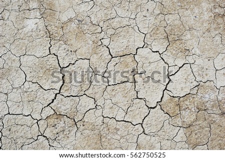Close up of dry cracked ground for background. Royalty-Free Stock Photo #562750525