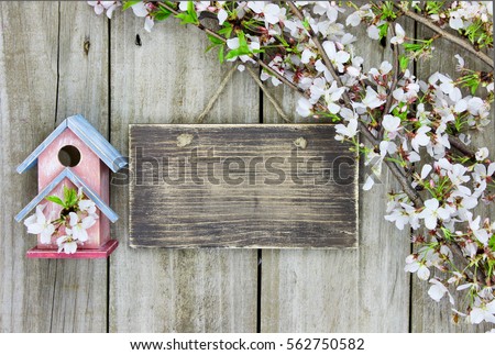 Blank wood sign by pink and teal blue birdhouse and spring tree blossoms hanging on rustic antique wooden background; springtime background with white flowers and copy space