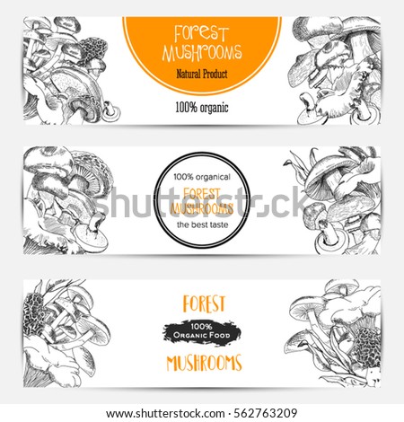 Banner set mushrooms for  shop. Horizontal banner sketch hand drawn collection of organic products with different kinds of edible mushrooms. Vector illustration.