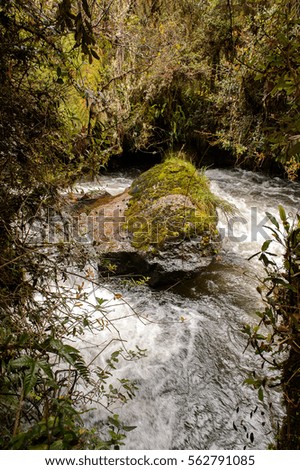 Water creek in Papayacta, Ecuador