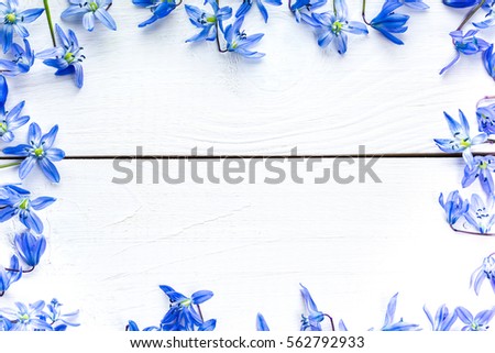 Spring frame with flowers snowdrops on white wooden background with free space