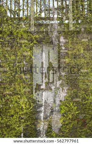 Vintage Door in Moss Covered Brick Wall