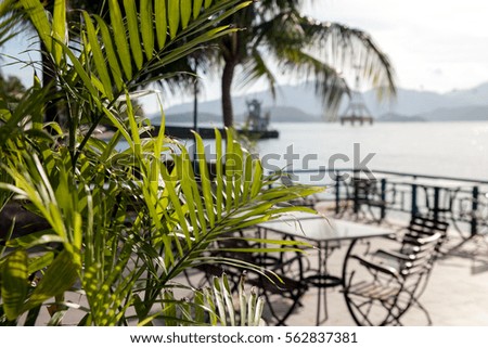 Bright green leaves on a background an open cafe terrace on beach