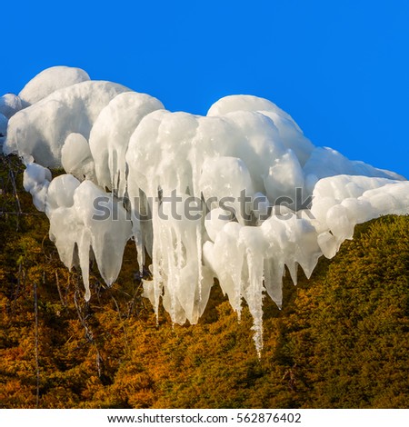 picture of icicles on a moss covered rock
