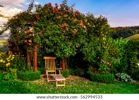 A chair to relax on in a garden under flowering roses in sunny weather - an idyllic peaceful harmonic lovely beautiful place in a summer scene at a cozy living home, color image taken on a sunny day