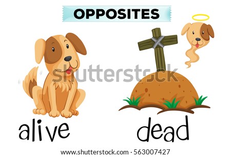 Opposite word for alive and dead illustration