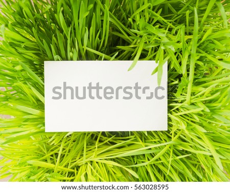 Blank white paper on green grass.

