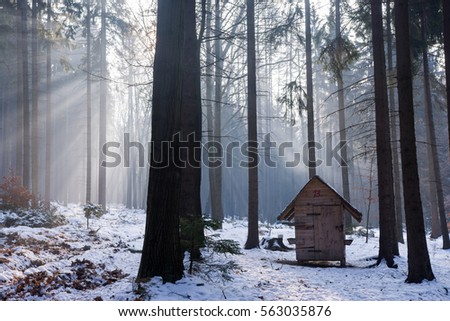 Wooden shack for animals in snowy foggy forest.