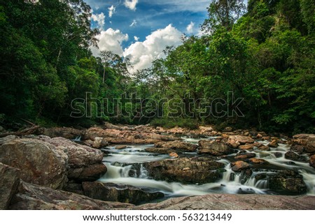 Unaffected river in the jungle. Taman Negara national park in Malaysia Royalty-Free Stock Photo #563213449