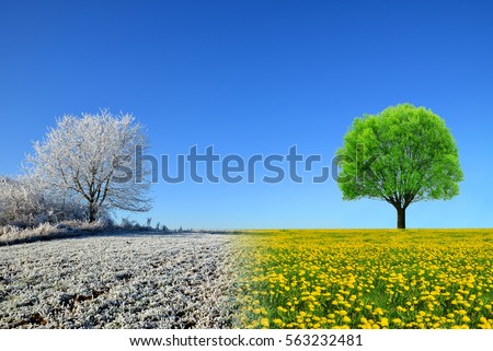 Winter and spring landscape with blue sky. Concept of change season. Royalty-Free Stock Photo #563232481