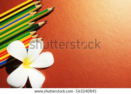 wooden pencil with white flower on plastic board