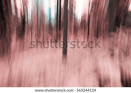 Forest scenery with blur effect. The blur effect is made by moving the camera vertically. Fantasy colored forest.