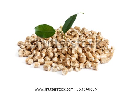 Green leaf on solid wooden pellets isolated on white background