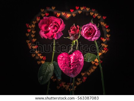 rose flowers in front of heart shape background with hundred of hearts bokeh
 in the black background of valentine day