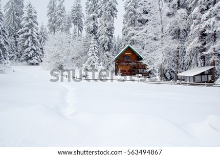 Wooden cottage in the forest - It is winter time