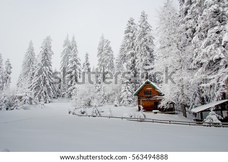Wooden cottage in the forest - It is winter time
