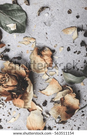 dried yellow rose on a concrete background