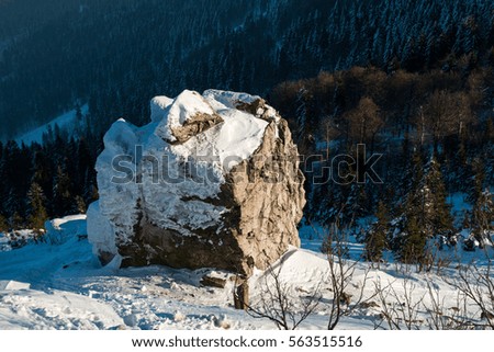 Mountain rock with snow in winter and forest background