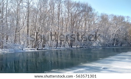 Frozen forest near river