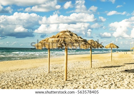 Decorative umbrellas made of palm branches against the backdrop of sea and sky