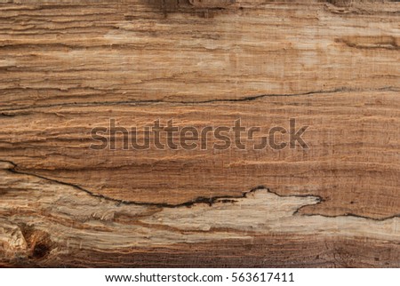Beauty natural wood texture for design and decoration