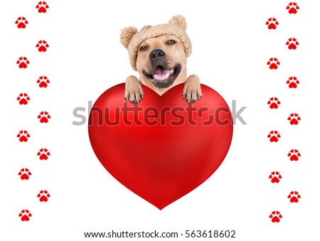 lovely cute dog with knitted hat hanging with paws on big valentine's day heart, isolated on white background with dog footprint