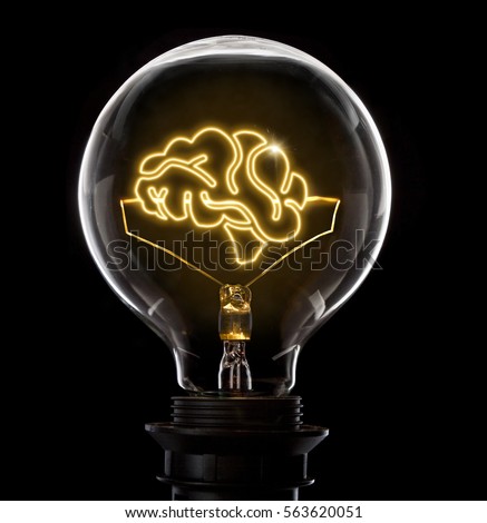 Clean and shiny lightbulb with a brain as a glowing wire.(series) Royalty-Free Stock Photo #563620051