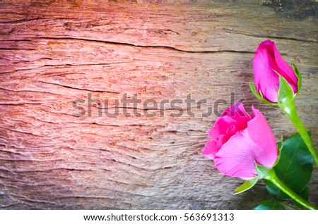 rose on wood background,Valentines Day