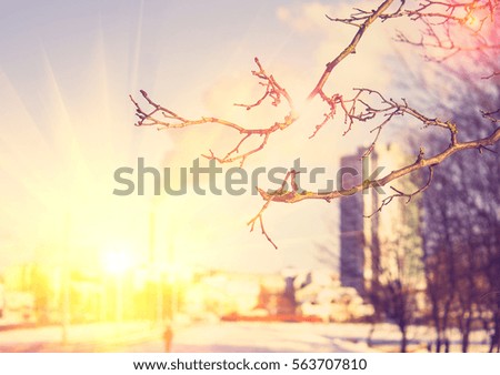 Winter photos, instagram effect of soft light