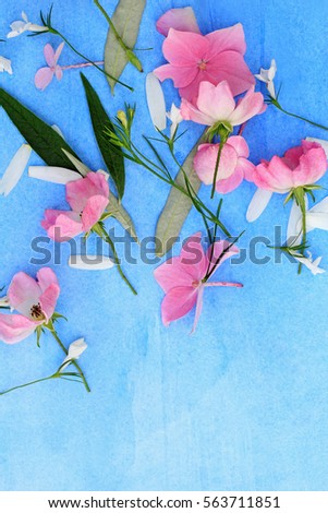 Beautiful floral background with pink roses and hortensia on blue background